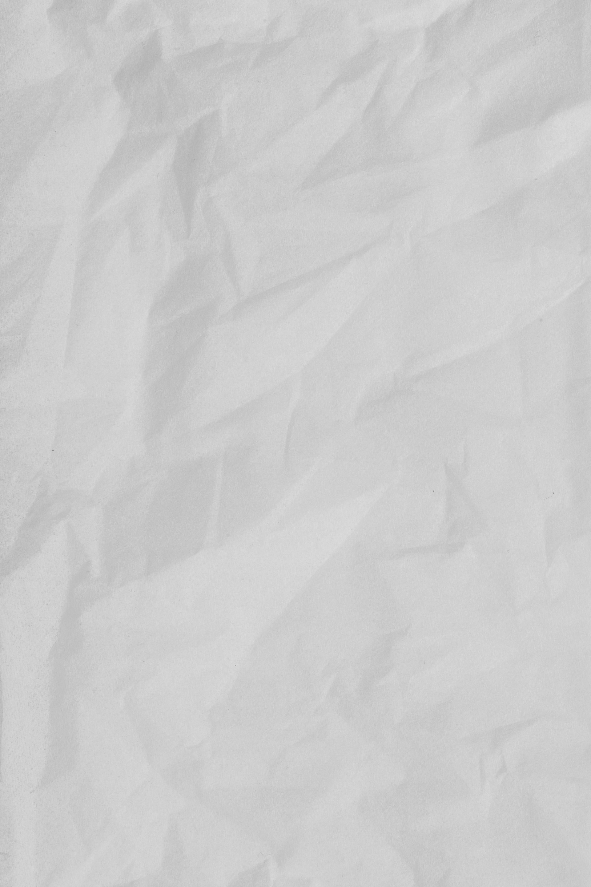 Paper products and packaging materials